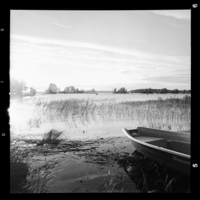 Kuhasalo, 2018. Hasselblad, Fomapan 100.